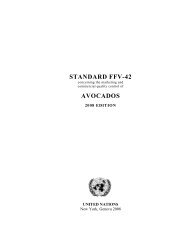 STANDARD FFV-42 AVOCADOS