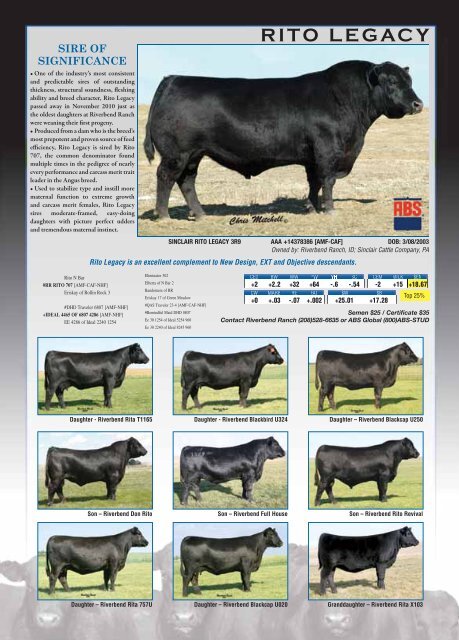 riverbend ranch 2011 semen directory - Angus Journal