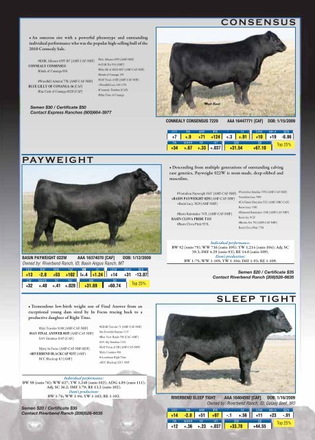 riverbend ranch 2011 semen directory - Angus Journal