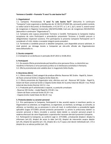 Termeni si conditii - Delta Studio