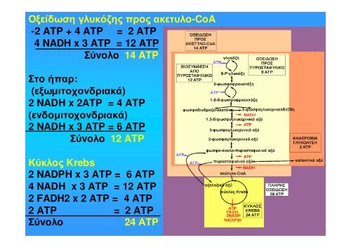 ÎÎ¹Î¬Î¼ÎµÏÎ¿Ï ÎÎµÏÎ±Î²Î¿Î»Î¹ÏÎ¼ÏÏ Î¥Î´Î±ÏÎ±Î½Î¸ÏÎ¬ÎºÏÎ½