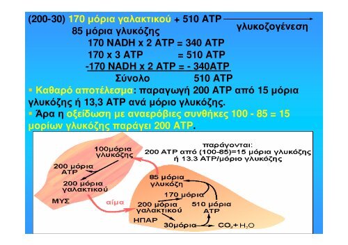 ÎÎ¹Î¬Î¼ÎµÏÎ¿Ï ÎÎµÏÎ±Î²Î¿Î»Î¹ÏÎ¼ÏÏ Î¥Î´Î±ÏÎ±Î½Î¸ÏÎ¬ÎºÏÎ½