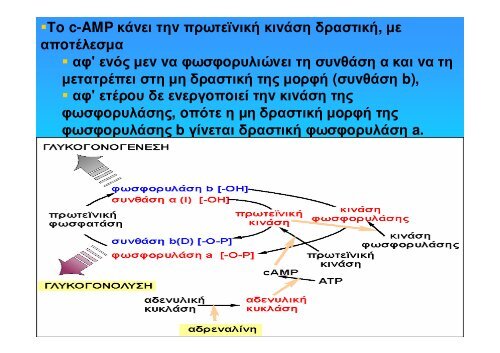 ÎÎ¹Î¬Î¼ÎµÏÎ¿Ï ÎÎµÏÎ±Î²Î¿Î»Î¹ÏÎ¼ÏÏ Î¥Î´Î±ÏÎ±Î½Î¸ÏÎ¬ÎºÏÎ½