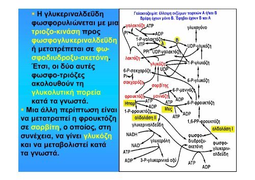 ÎÎ¹Î¬Î¼ÎµÏÎ¿Ï ÎÎµÏÎ±Î²Î¿Î»Î¹ÏÎ¼ÏÏ Î¥Î´Î±ÏÎ±Î½Î¸ÏÎ¬ÎºÏÎ½