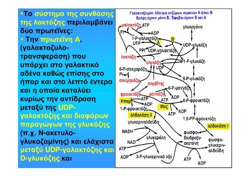 ÎÎ¹Î¬Î¼ÎµÏÎ¿Ï ÎÎµÏÎ±Î²Î¿Î»Î¹ÏÎ¼ÏÏ Î¥Î´Î±ÏÎ±Î½Î¸ÏÎ¬ÎºÏÎ½