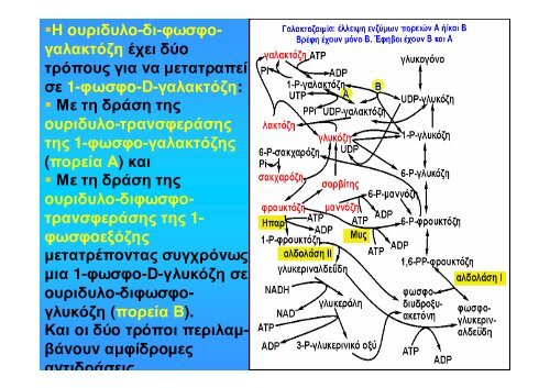 ÎÎ¹Î¬Î¼ÎµÏÎ¿Ï ÎÎµÏÎ±Î²Î¿Î»Î¹ÏÎ¼ÏÏ Î¥Î´Î±ÏÎ±Î½Î¸ÏÎ¬ÎºÏÎ½