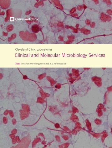 Clinical and Molecular Microbiology Services - Cleveland Clinic ...