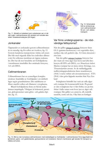 Fett-kunskap