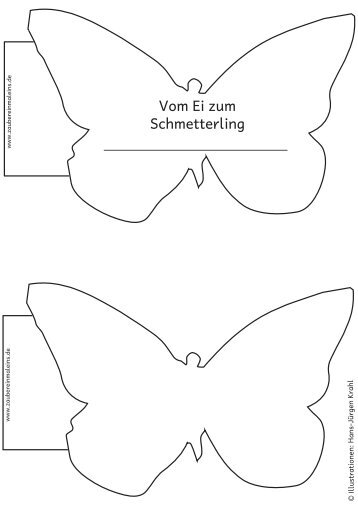 Vom Ei zum Schmetterling - Zaubereinmaleins