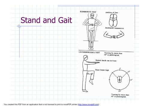 NEUROLOGICAL EXAMINATION