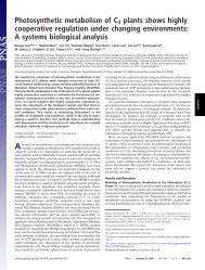 Luo et al. 2009.pdf