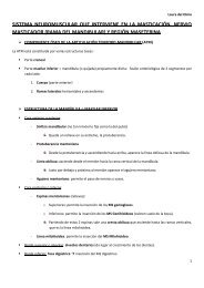 sistema neuromuscular que interviene en la ... - VeoApuntes.com