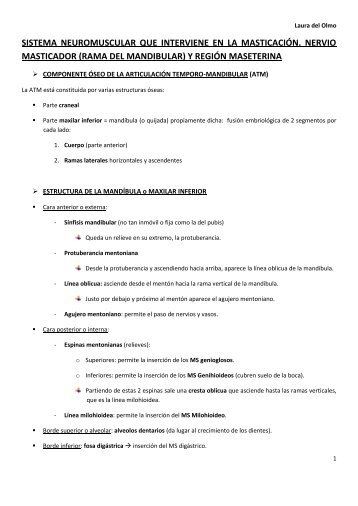 sistema neuromuscular que interviene en la ... - VeoApuntes.com