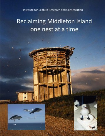 Reclaiming Middleton Island One Nest at a Time