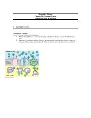 Molecular Biology Chapter 28: Nervous System Action Potential ...