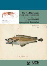 The Mediterranean deep-sea ecosystems: An overview of ... - WWF