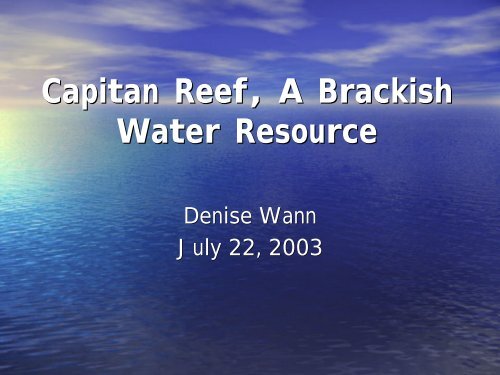 Capitan Reef, A Brackish Water Resource