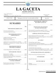 Gaceta - Diario Oficial de Nicaragua - # 234 de 1 Diciembre 2004