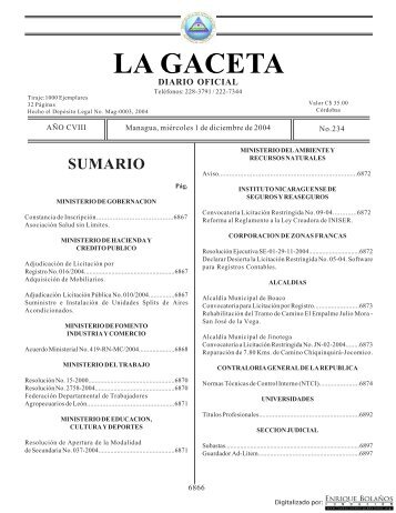 Gaceta - Diario Oficial de Nicaragua - # 234 de 1 Diciembre 2004