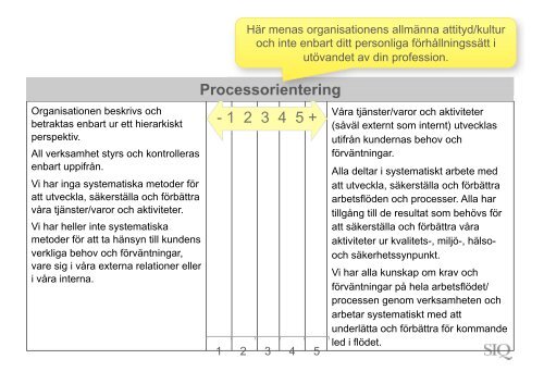 Rene Chocron - Institutet för Kvalitetsutveckling, SIQ