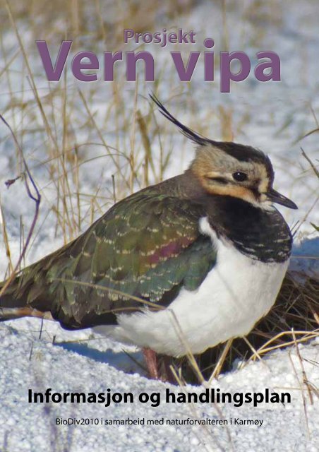 Vern vipa brosjyre.pdf - KarmÃ¸y kommune