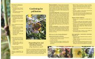 Gardening for Pollinators - City of Kamloops