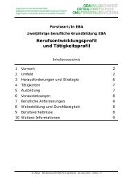 Berufsentwicklungsprofil und Tätigkeitsprofil - Codoc