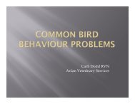 Carli Dodd RVN Avian Veterinary Services