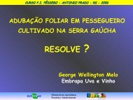 AdubaÃ§Ã£o Foliar em Pessegueiro Cultivado na Serra GaÃºcha