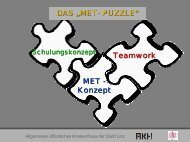 DAS „MET- PUZZLE “ Teamwork MET - Konzept