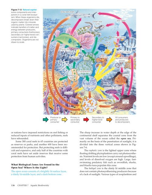 Environmental Problems, Their Causes, and Sustainability 1