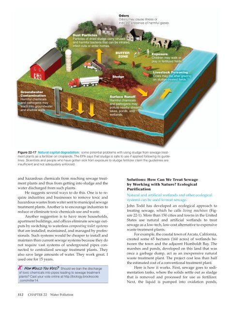 Environmental Problems, Their Causes, and Sustainability 1