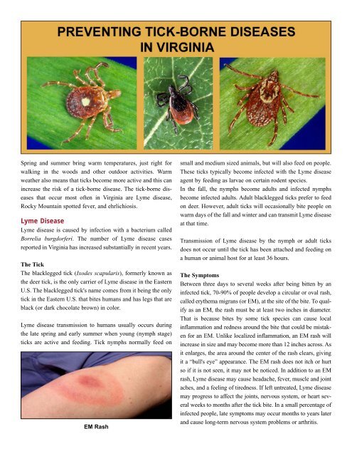 Lyme Disease