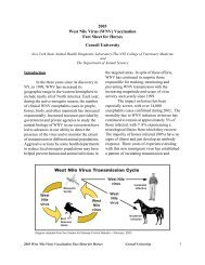 2003 West Nile Virus (WNV) Vaccination Fact Sheet for Horses