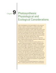 Photosynthesis: Physiological and Ecological ... - Ehleringer net