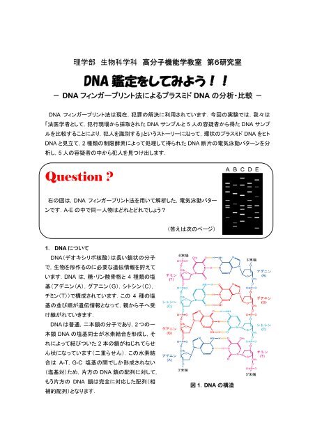 体験入学 北海道大学理学部生物科学科高分子機能学教室