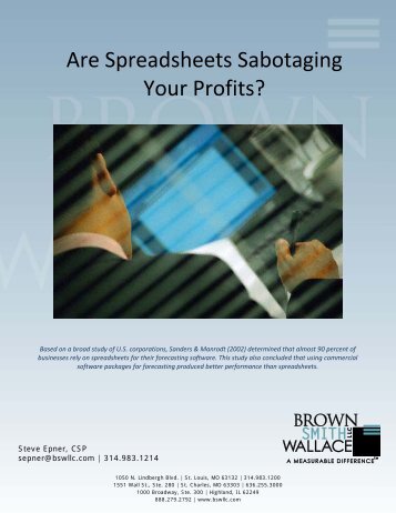 Are Spreadsheets Sabotaging Your Profits? - Brown Smith Wallace