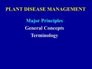 BOT 552: PLANT DISEASE MANAGEMENT