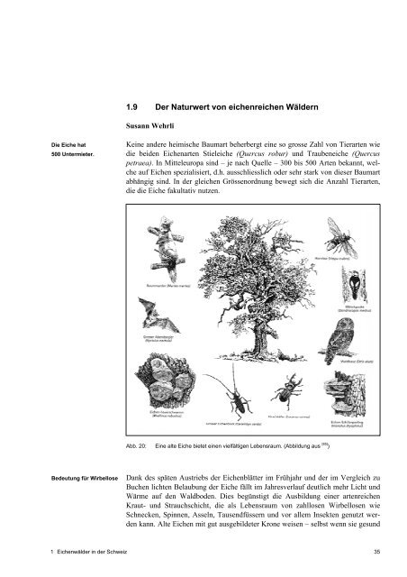 Förderung der Eiche - Schweizer Informationssystem Biodiversität ...