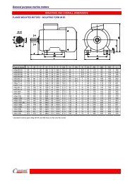 General purpose marine motors - Cantoni Group