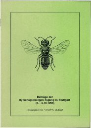 BeitrÃ¤ge der Hymenopterologen-Tagung in Stuttgart (4 ... - DGaaE