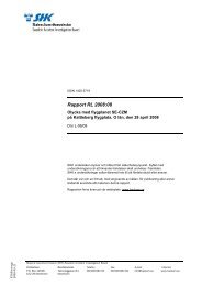 Rapport RL 2008:08 - Statens Haverikommission