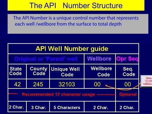 The API Number and its use 2009 and Beyond - Oil Information ...