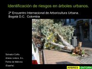 Identificación de riesgos en árboles urbanos - ISA Hispana