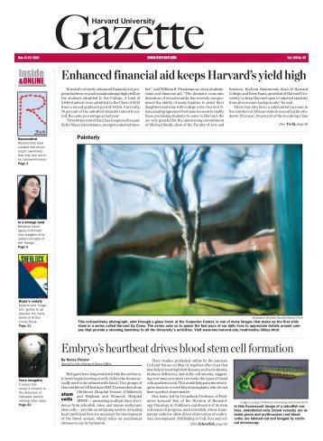 Enhanced financial aid keeps Harvard's yield high - Harvard News ...