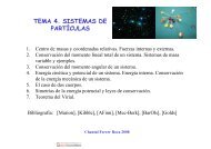 TEMA 4. SISTEMAS DE PARTÃCULAS