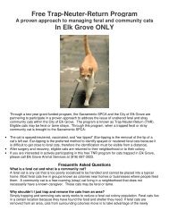 Free Trap-Neuter-Return Program In Elk Grove ONLY - Sacramento ...