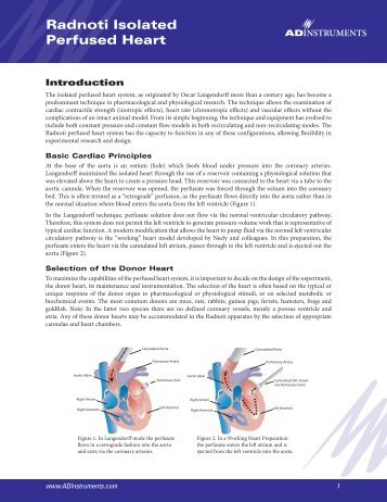 Radnoti Isolated Perfused Heart - ADInstruments