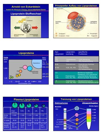 Arnold von Eckardstein Lipoprotein-Stoffwechsel Lipoproteine ...