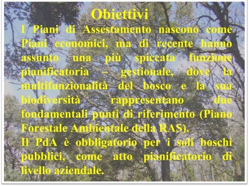 Elaborazioni preliminari per un Piano di Assestamento forestale. Il ...